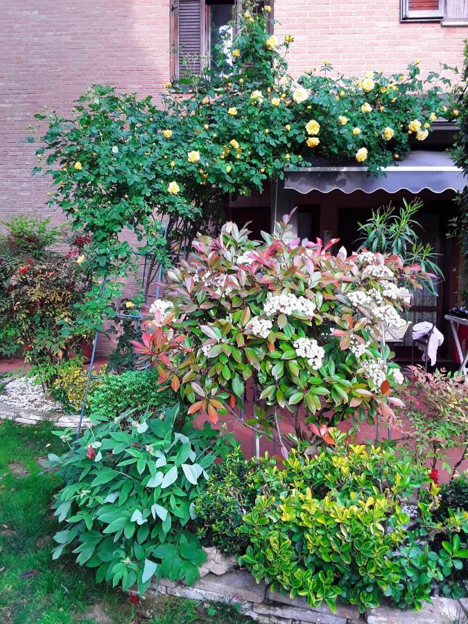 B&B La Rosa Gialla Maranello Eksteriør bilde
