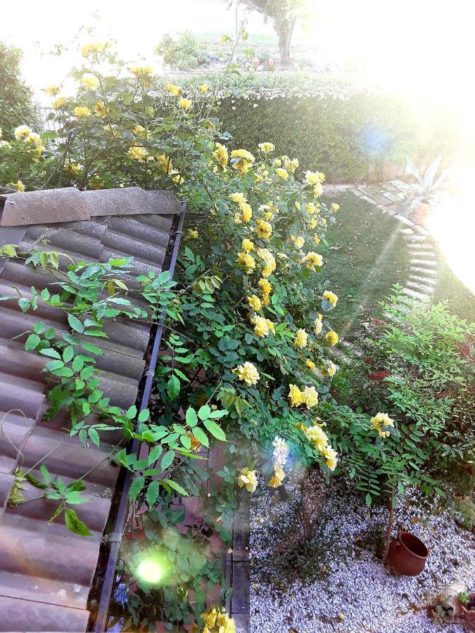 B&B La Rosa Gialla Maranello Eksteriør bilde