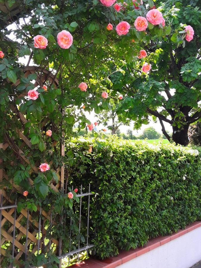 B&B La Rosa Gialla Maranello Eksteriør bilde